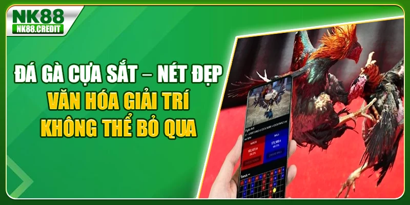 Đá gà cựa sắt