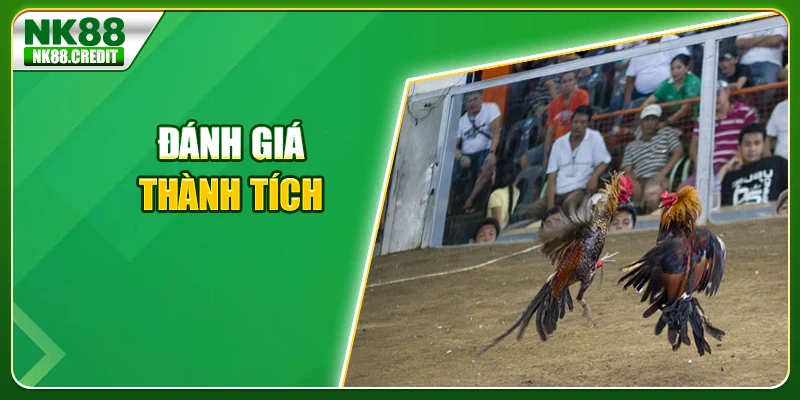 Đánh giá thành tích