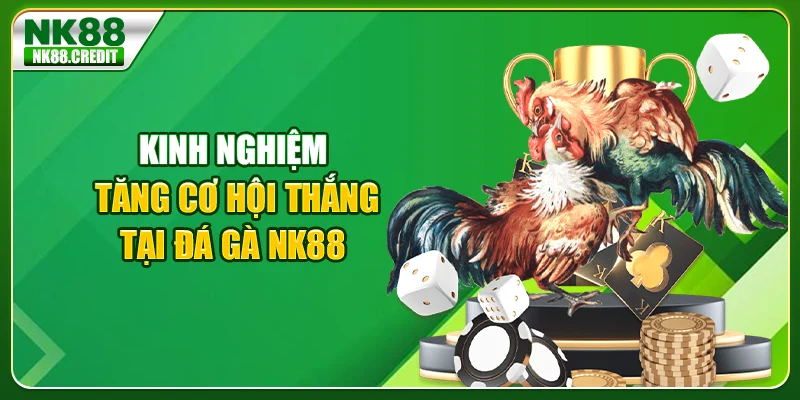 Kinh nghiệm tăng cơ hội thắng tại đá gà Nk88