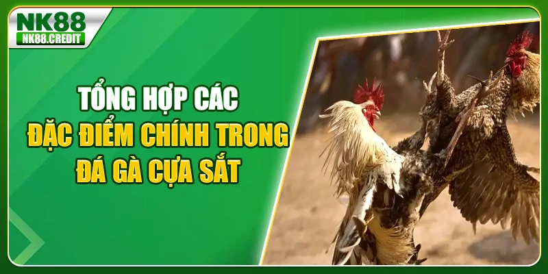 Tổng hợp các diễn đàn chính trong đá gà cựa sắt